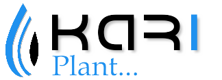 Kari Plant